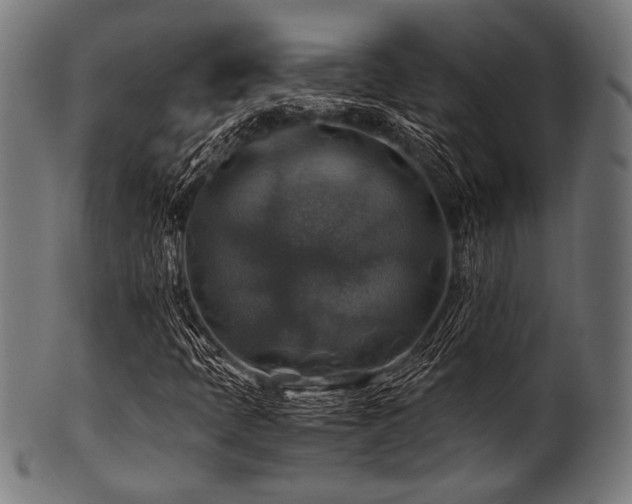 X0000100951397200806241452