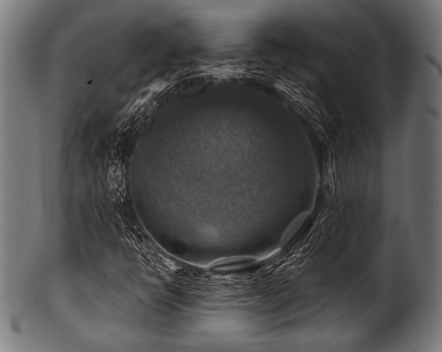 X0000100951398200806241452