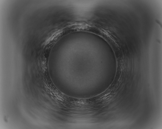 X0000100951399200806241452
