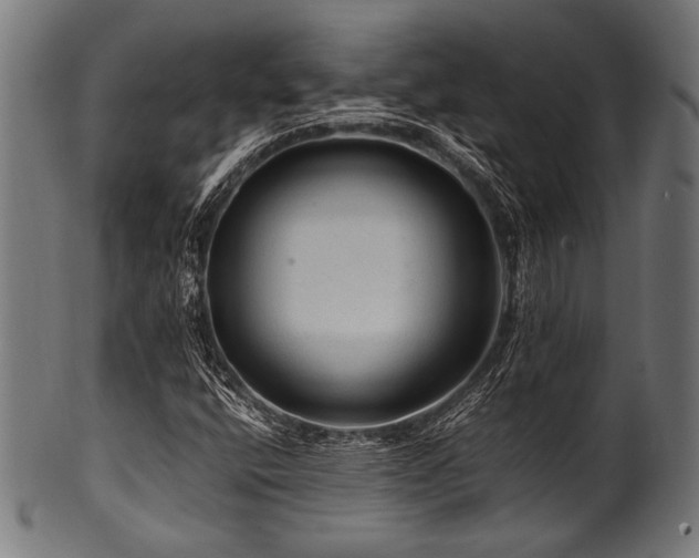 X0000100951400200806241452