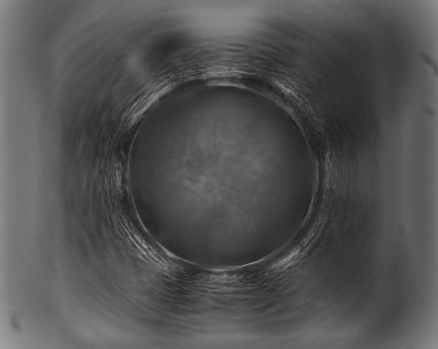 X0000100951401200806241452