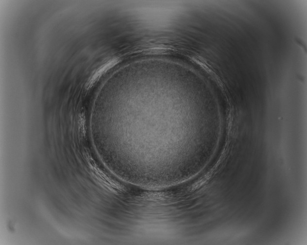 X0000100951402200806241452