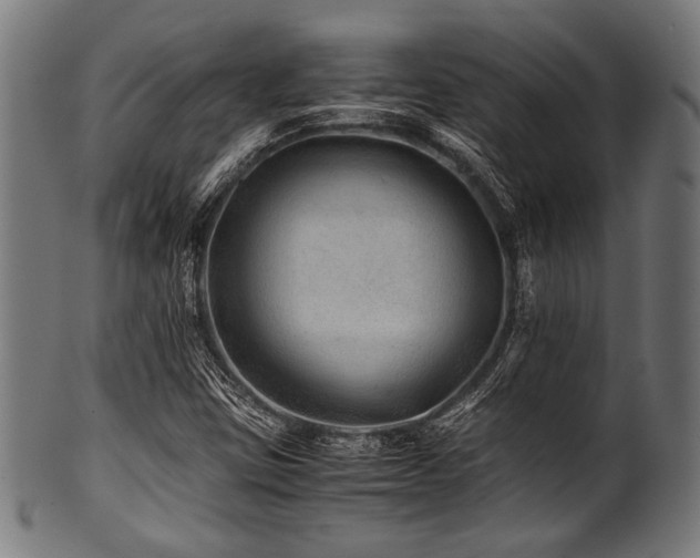X0000100951403200806241452
