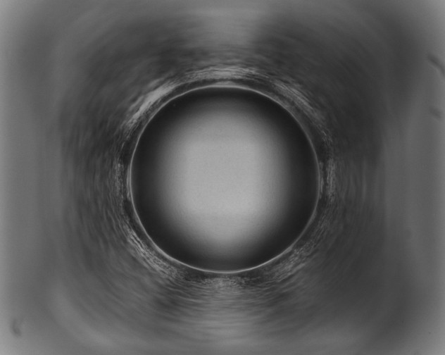 X0000100951404200806241452