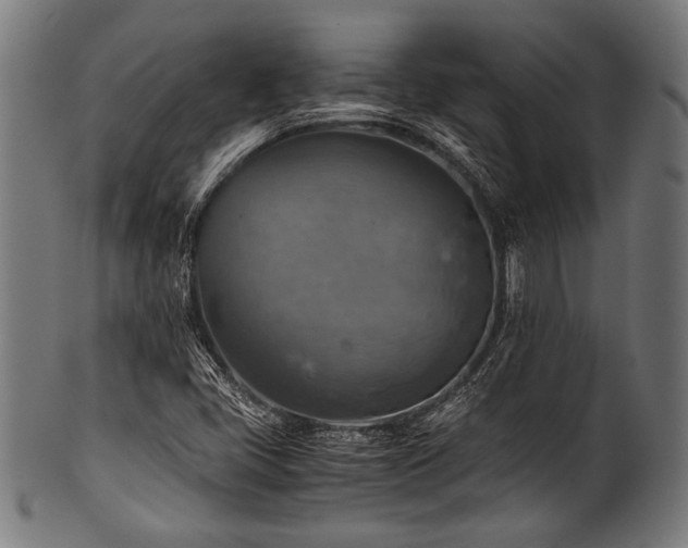 X0000100951405200806241452