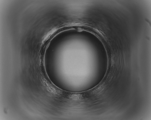 X0000100951406200806241452