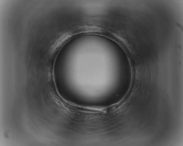 X0000100951407200806241452