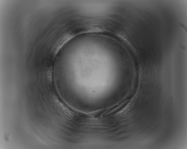 X0000100951409200806241452