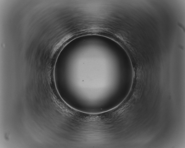 X0000100951410200806241452