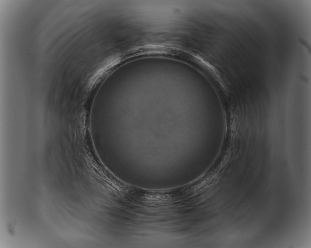 X0000100951411200806241452