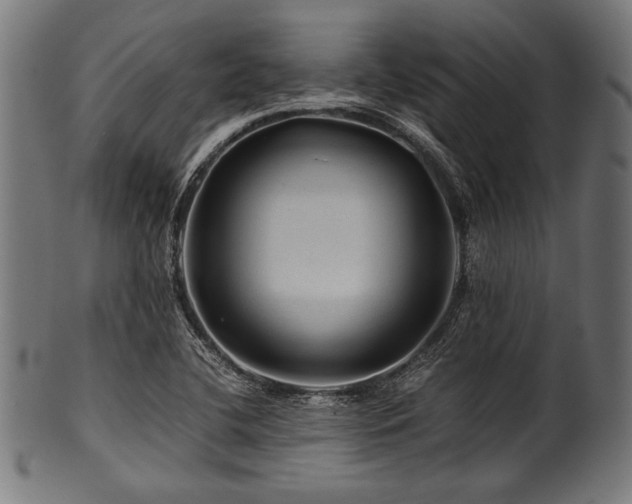 X0000100951412200806241452