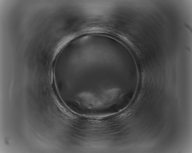 X0000100951413200806241452