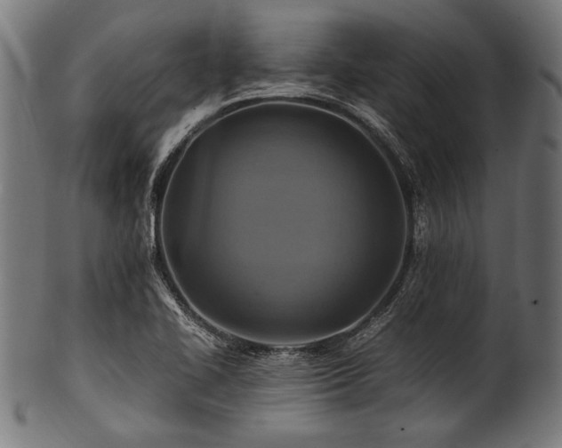 X0000100951414200806241452