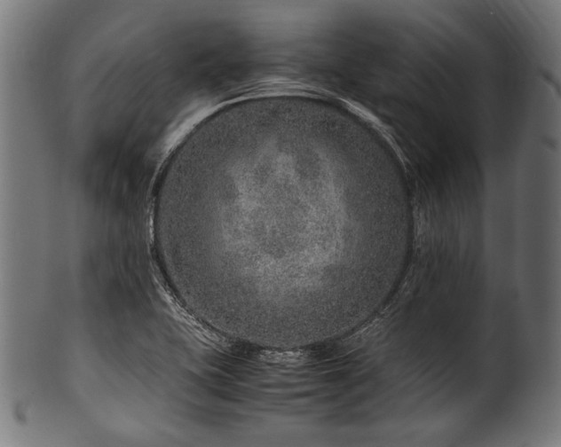 X0000100951415200806241452
