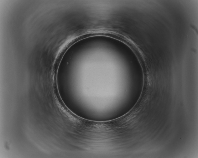 X0000100951416200806241452