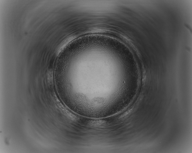 X0000100951417200806241452