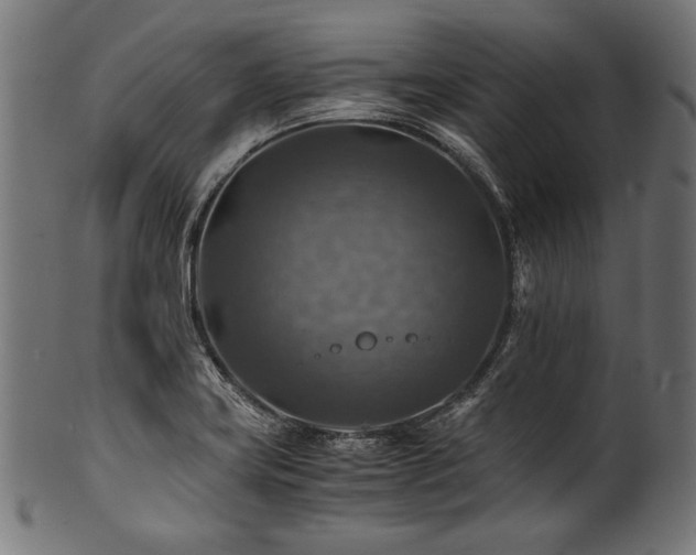 X0000100951419200806241452
