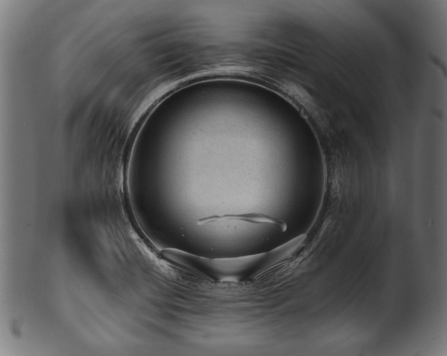 X0000100951420200806241453