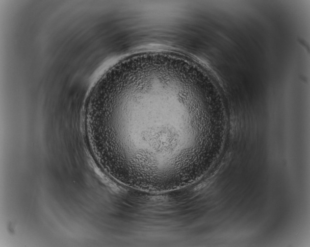 X0000100951421200806241453