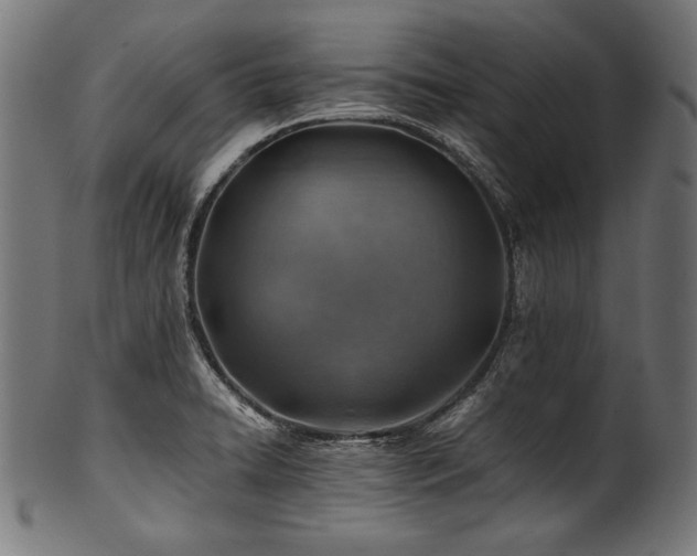 X0000100951422200806241453