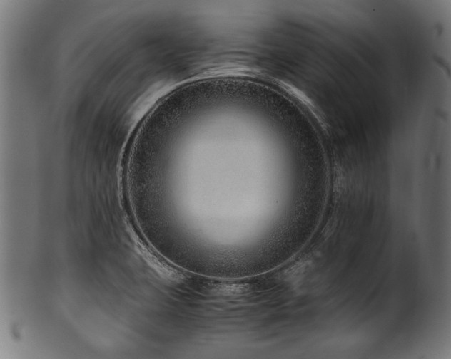 X0000100951423200806241453