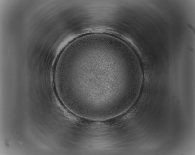 X0000100951424200806241453