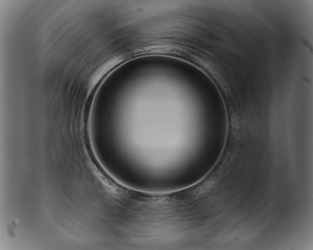 X0000100951426200806241453
