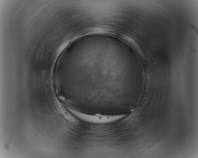 X0000100951427200806241453