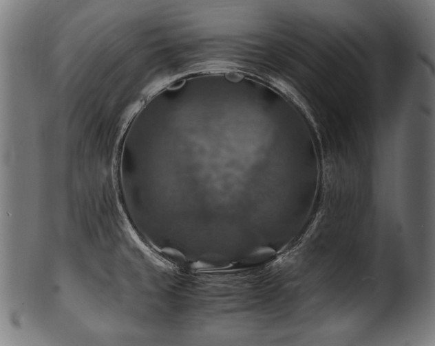 X0000100951429200806241453