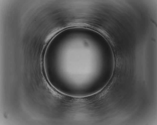 X0000100951430200806241453