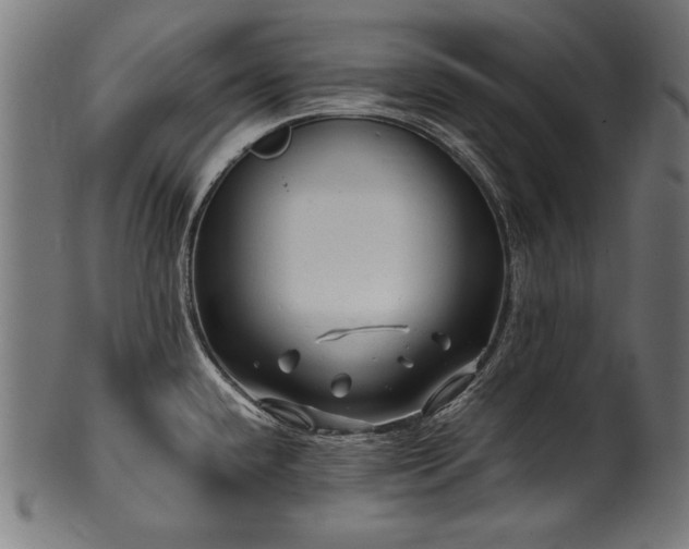 X0000100951432200806241453