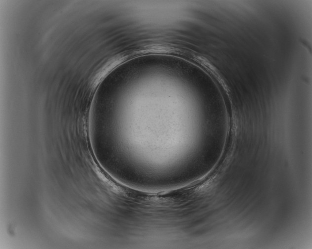 X0000100951433200806241453