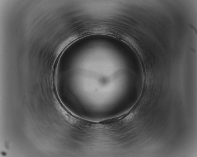 X0000100951434200806241453