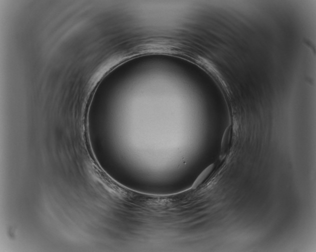 X0000100951435200806241453