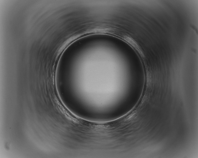 X0000100951436200806241453