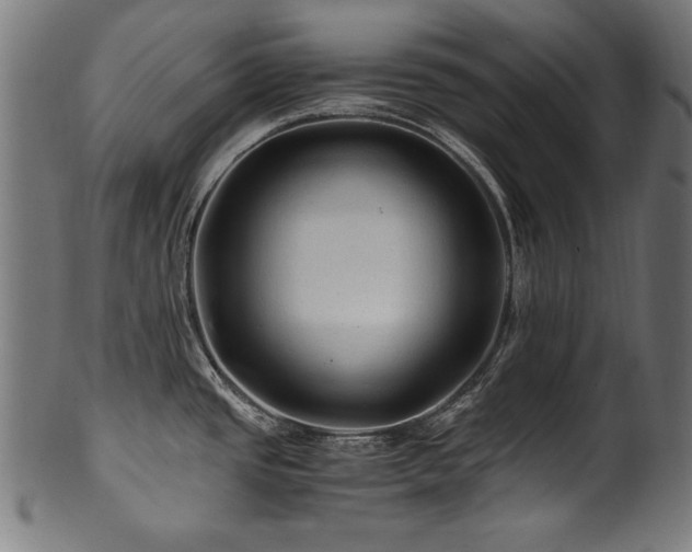 X0000100951437200806241453