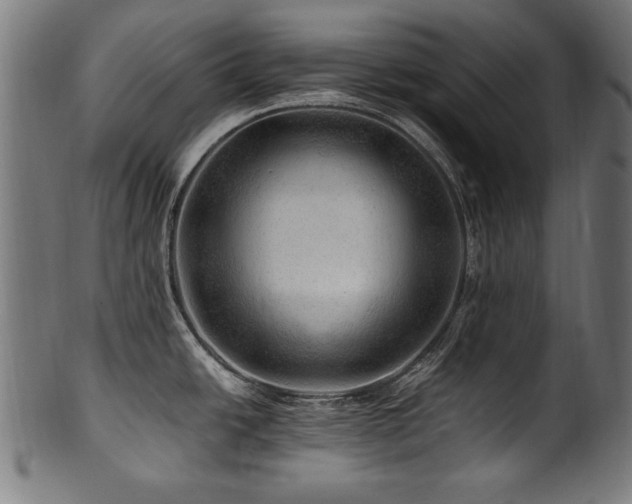 X0000100951438200806241453