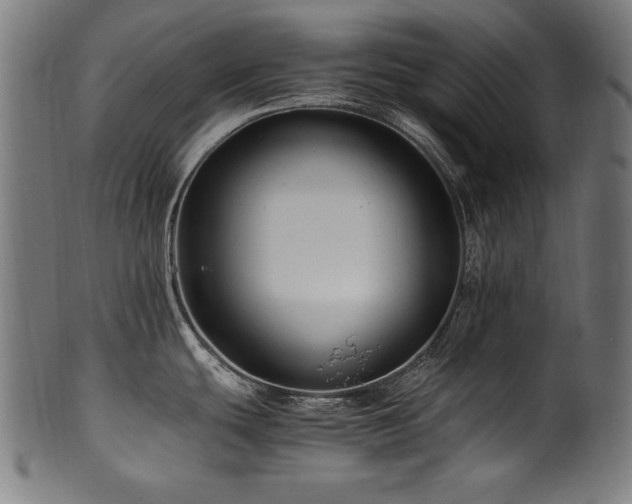 X0000100951439200806241453
