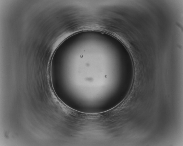 X0000100951440200806241453
