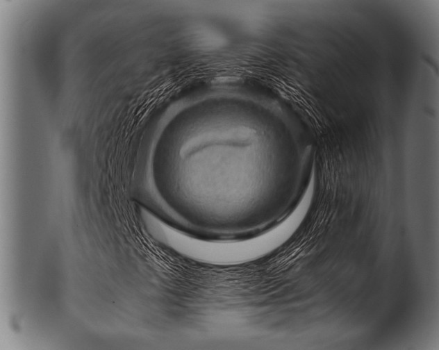 X0000100951441200806241452