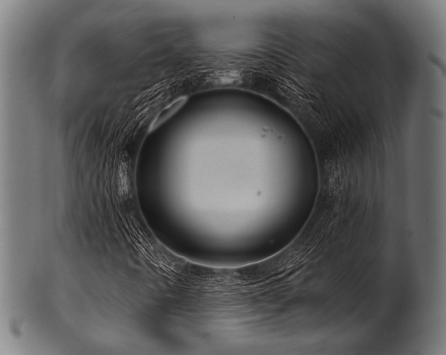 X0000100951442200806241452