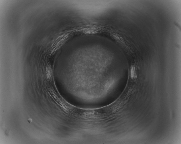 X0000100951444200806241452