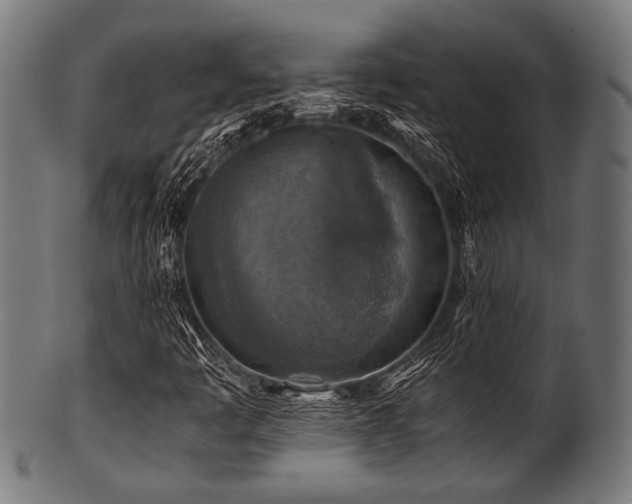 X0000100951445200806241452