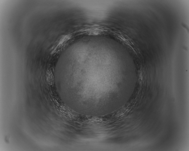 X0000100951446200806241452
