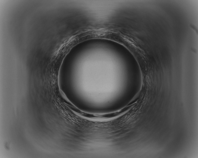 X0000100951447200806241452