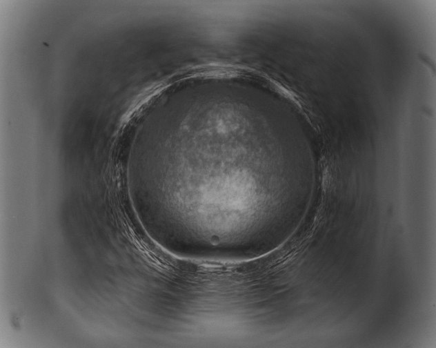 X0000100951448200806241452