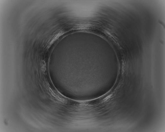 X0000100951449200806241452