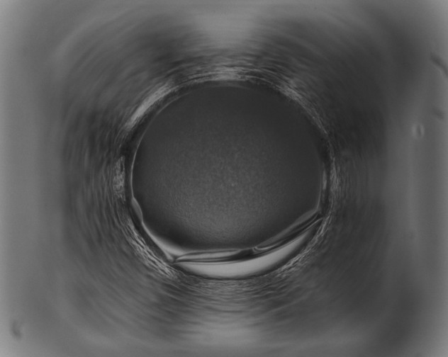 X0000100951450200806241452