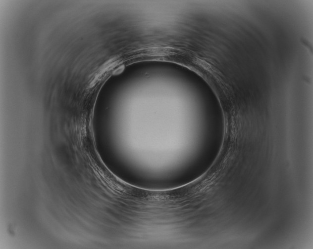 X0000100951451200806241452