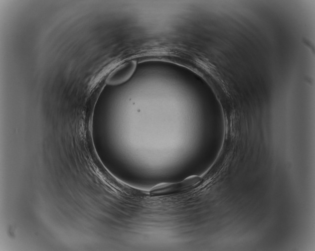 X0000100951452200806241452